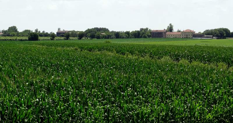 Azienda agricola Azienda agricola